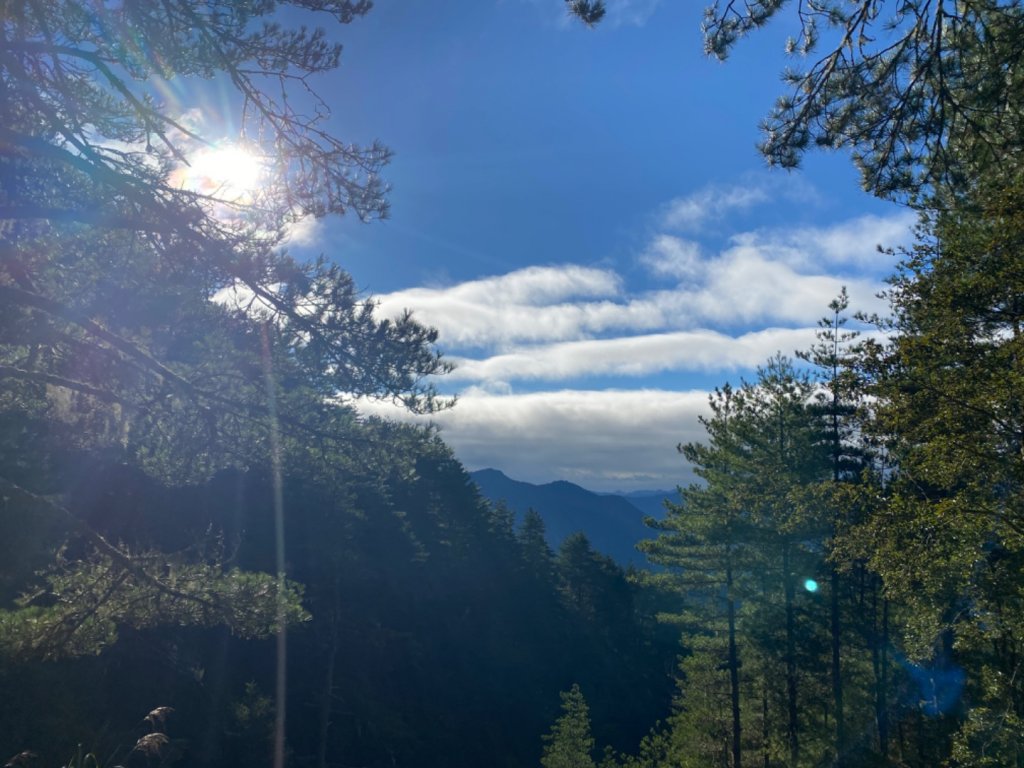 嘉明湖。泛淚的早午餐時光_1488669