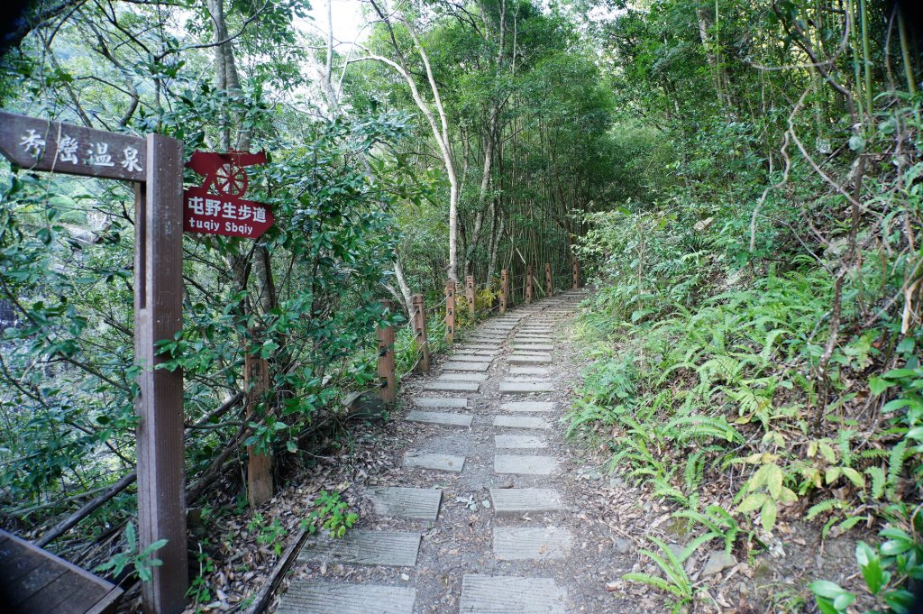 新竹 尖石 芝生毛臺山、虎禮山_2903141