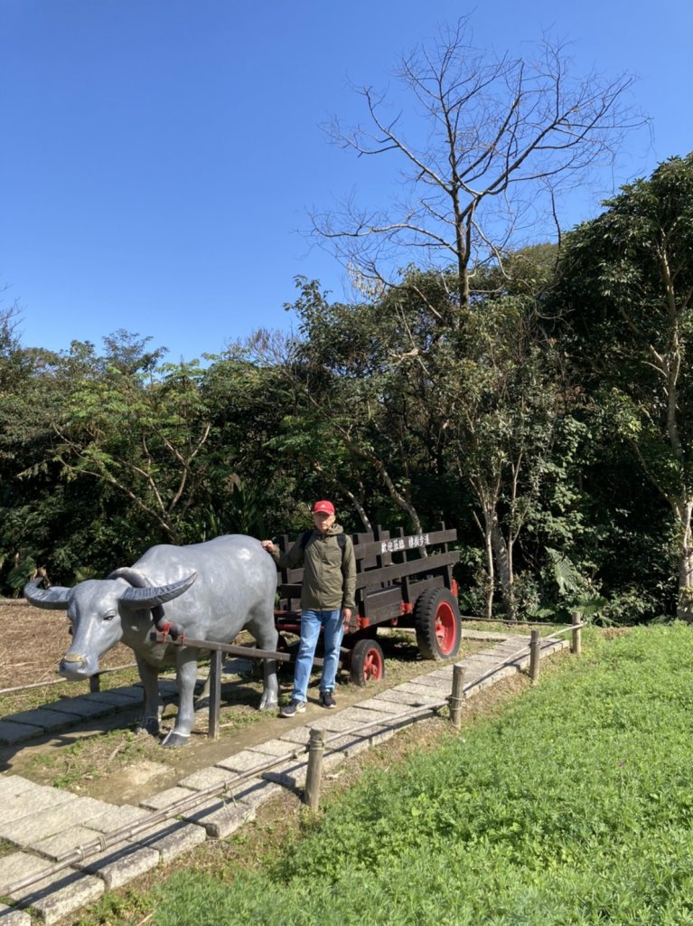 【臺北大縱走 7】貓空站→樟樹、飛龍步道_1254503