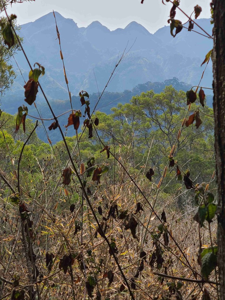 霧峰奧山_2729042