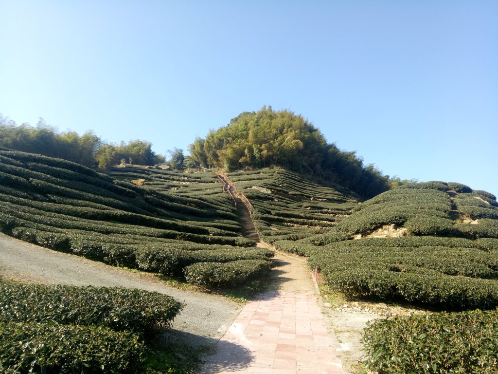 雲嘉五連峰封面圖