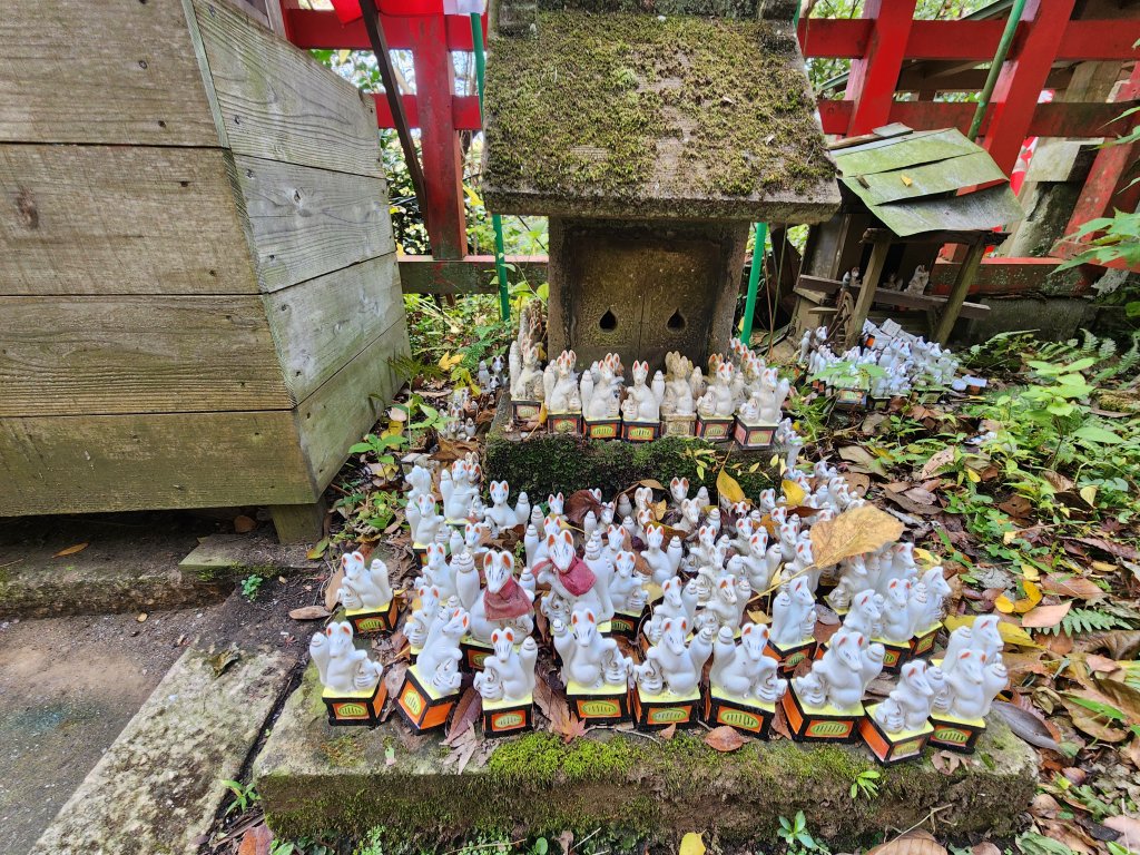 20251128橫須賀軍港遊船+鎌倉大佛步道_2962732