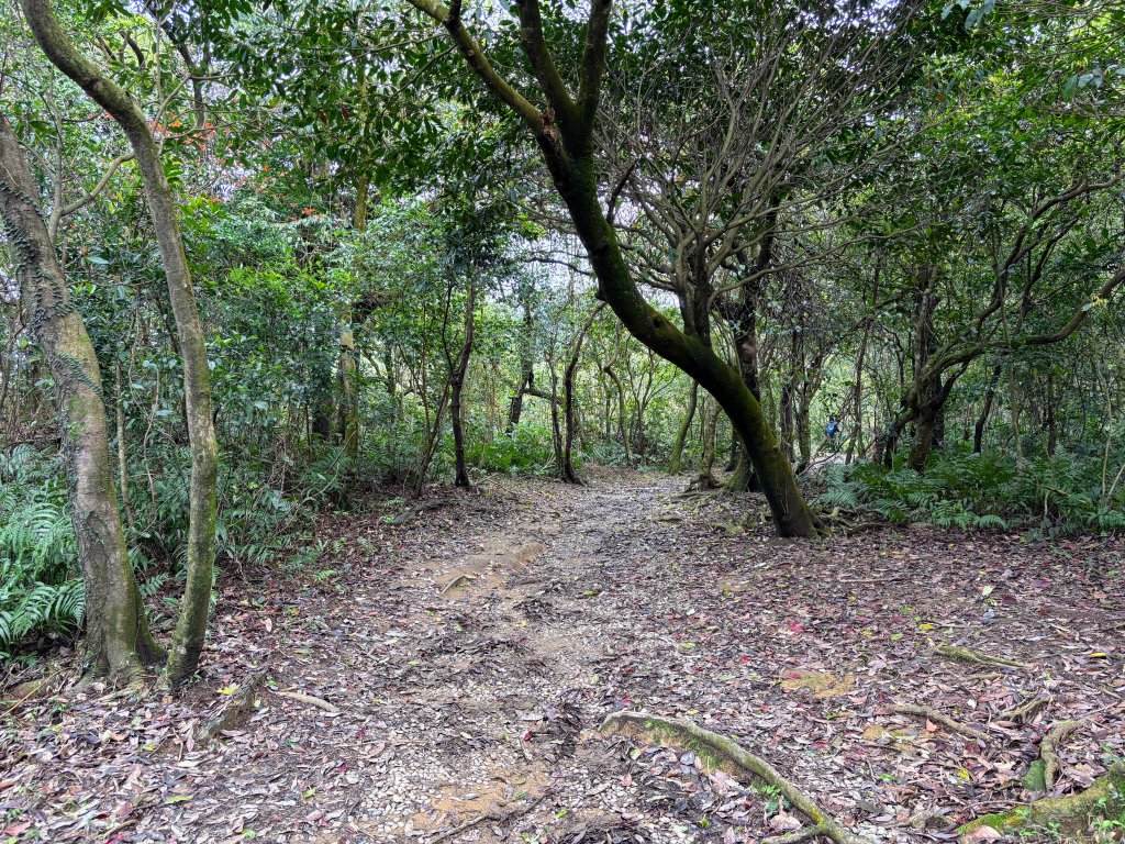 姜子寮山_2736846