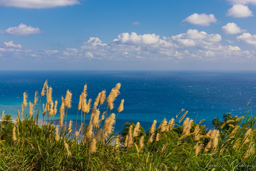 [台東]巴塱衛山封面圖
