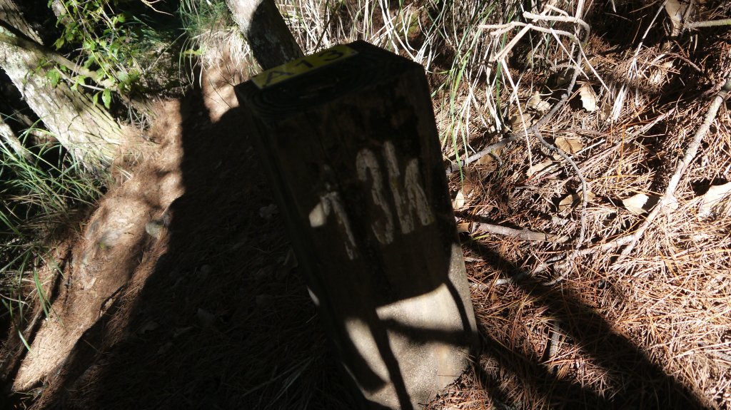 池有山單攻登山健行趣(百岳52)_1515188