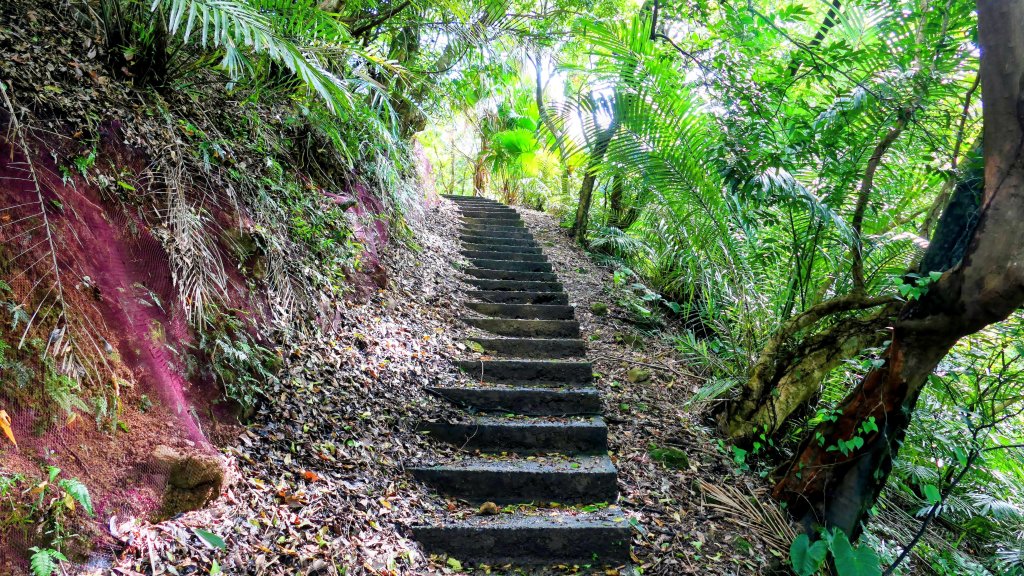 矽之長歌_2968734