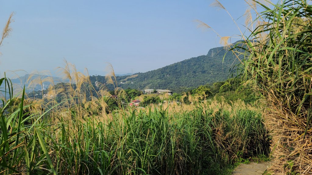 樟湖步道_1067205