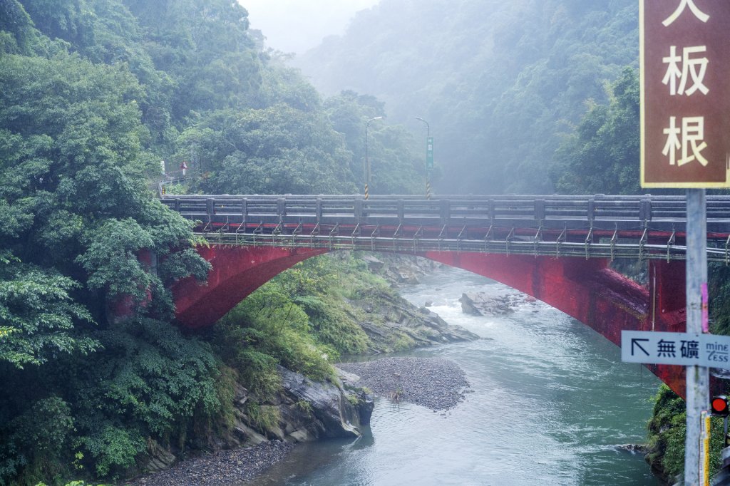 東眼山雨中尋幽_2975358