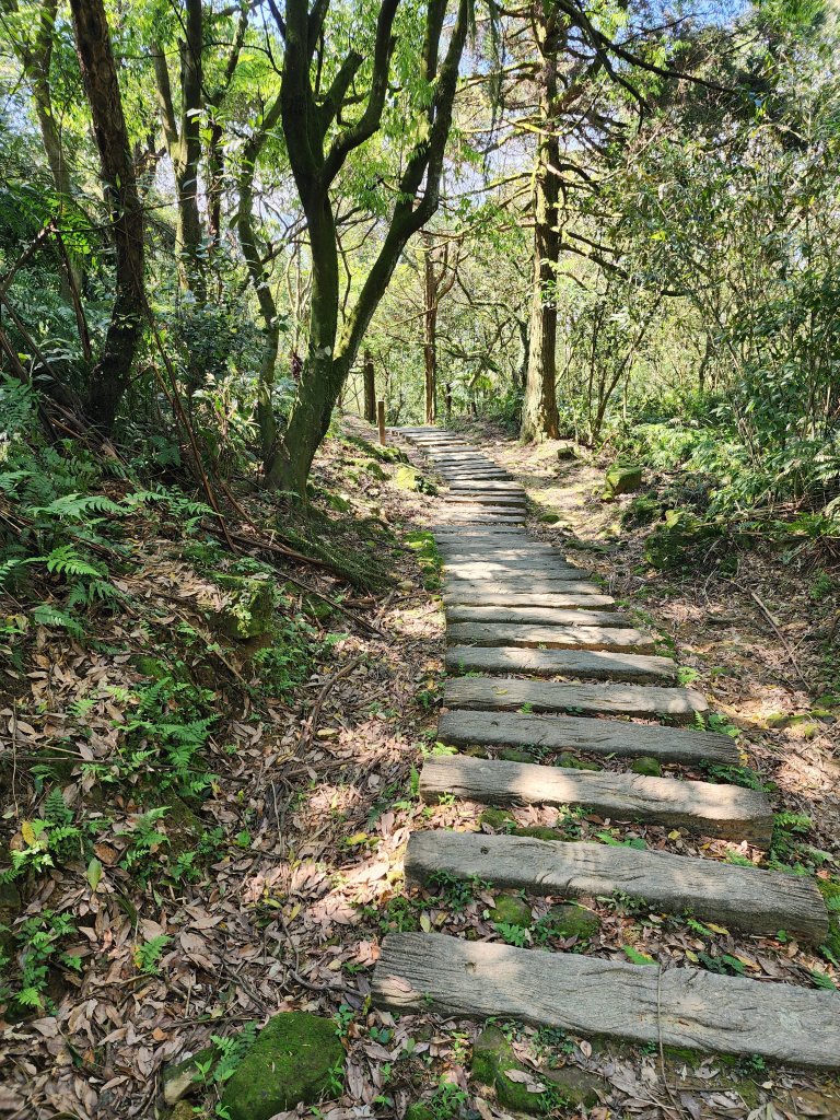 20250322-姜子寮山_2739978