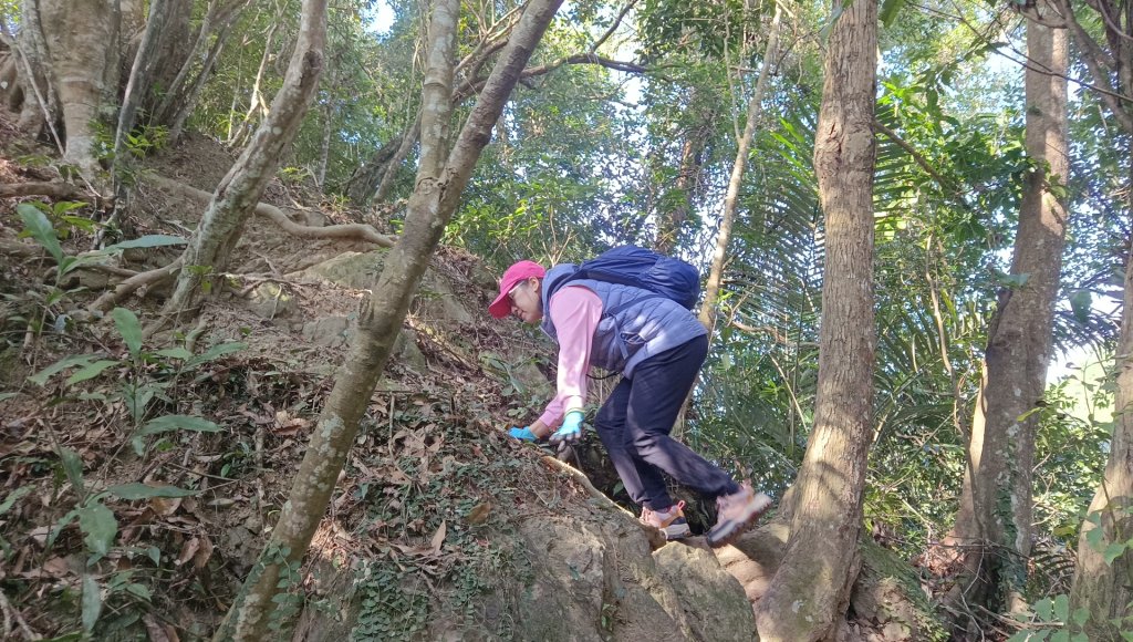 (姨婆趴趴走)第四十六集:新竹關西赤柯山及南峰、東西獅頭山、馬福山環狀縱走_2685732