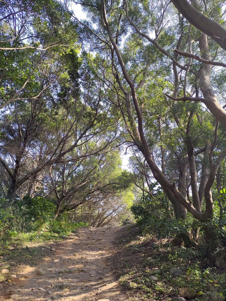 虎頭山大亂走_820211