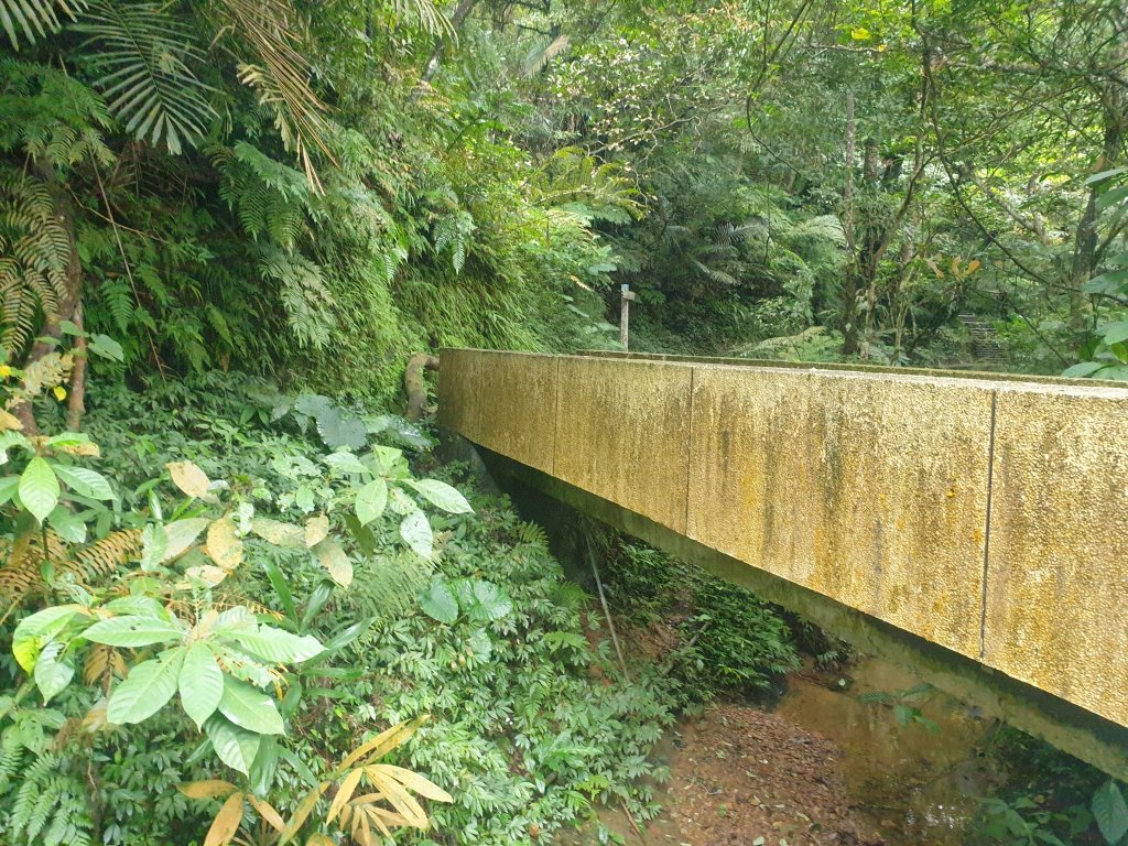 臺北大縱走第六段_1516075