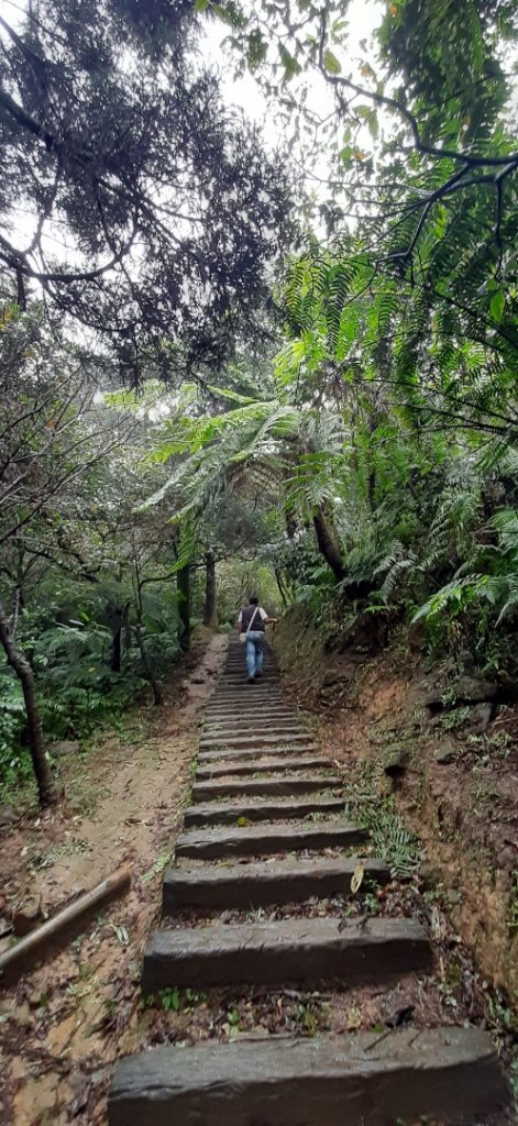 小百岳:姜子寮山(姜子寮、草濫越嶺、泰安瀑_1519185