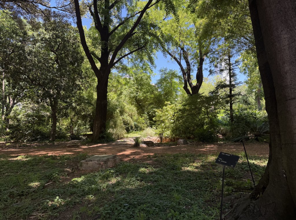 [紐約馬之行-59] 2025_1114 卡洛斯·泰斯植物園-上_2953894