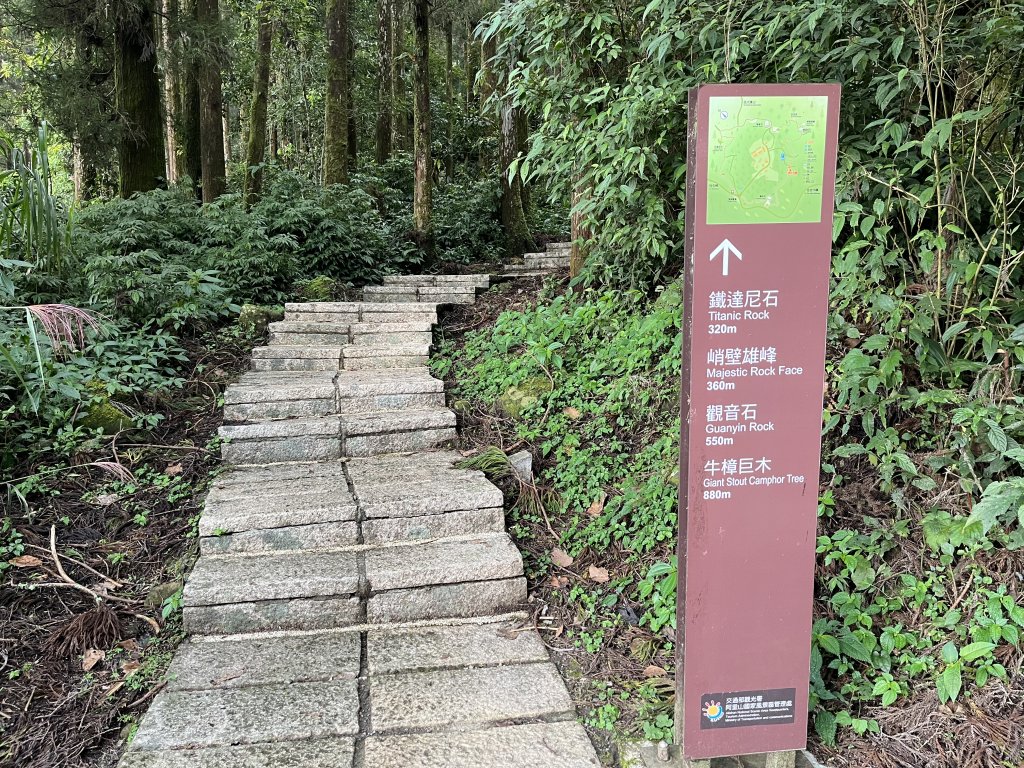 [嘉遊好步道．來嘉走走-04/10] 2024_1011 阿里山頂湖步道_2624668