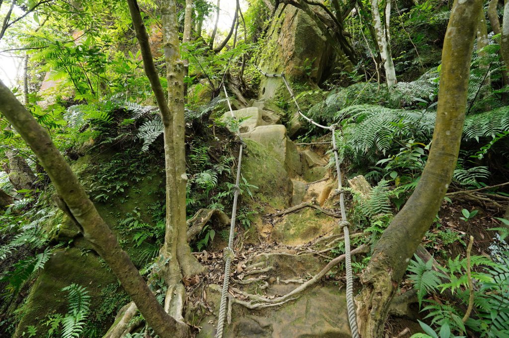 臺北 文山 指南山、猴山岳、魚衡山、大前坑山、猴山坑山、祥光寺後山、金頭山_2774974