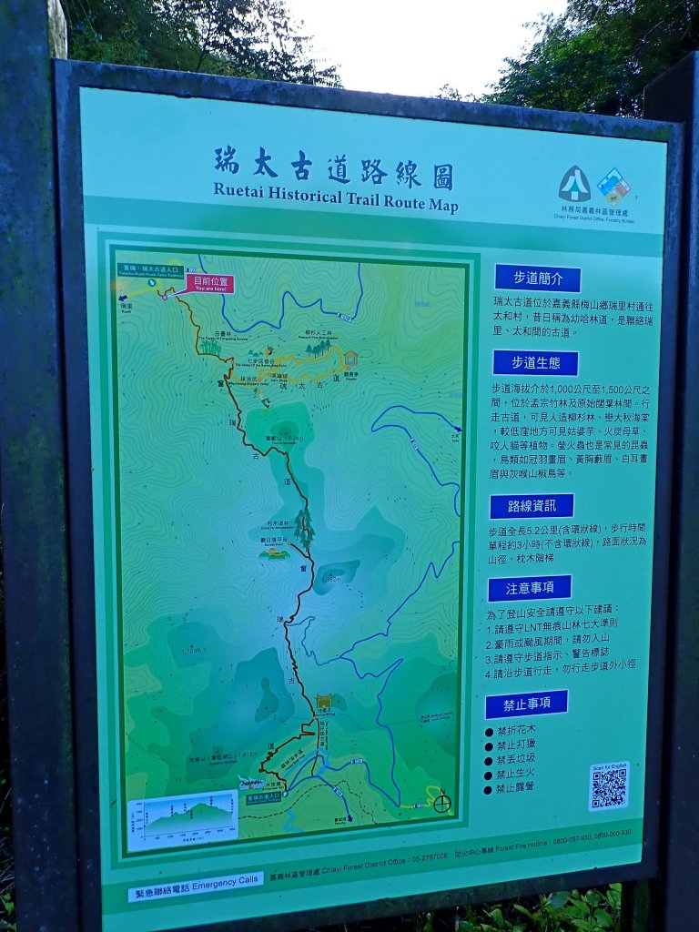 竹林饗宴--瑞太古道登雲戴山順走九芎坪山_493541