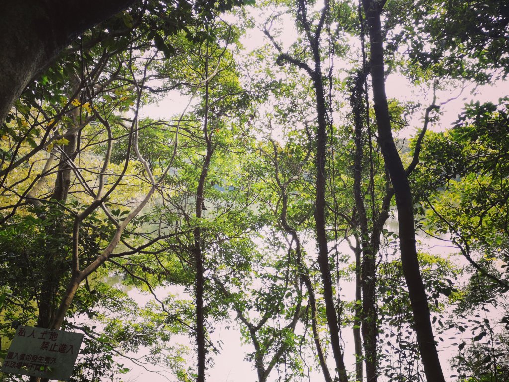 我從福人步道走去大北坑吃好料_818576