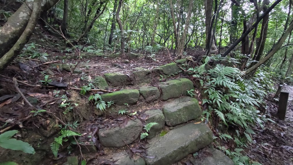 淡蘭古道中路_2309175