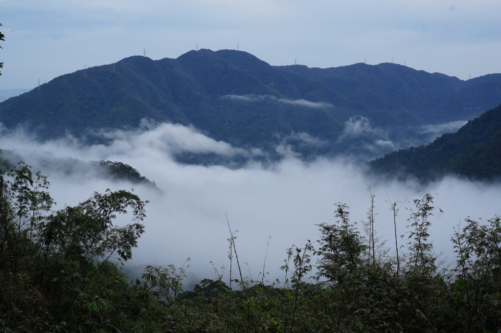 新北 烏來 大桶山、火燒樟山_2728767