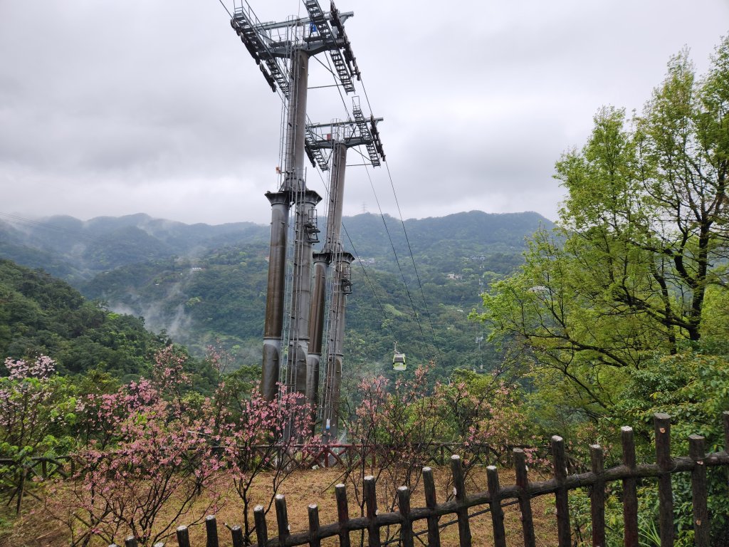 20250308 動感亞洲貓空站-26K組_2732059