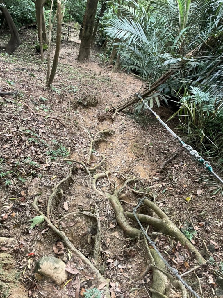 清水大尖山_1756490