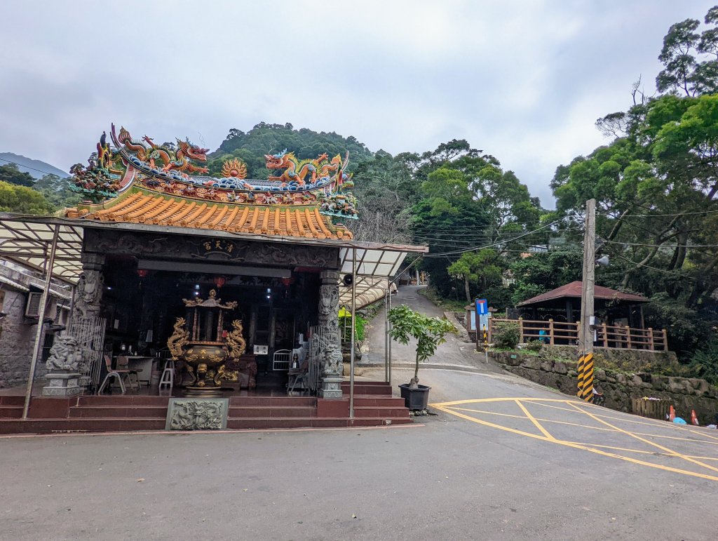 寒風中面天山、向天山及二子坪步道巡禮_1565695