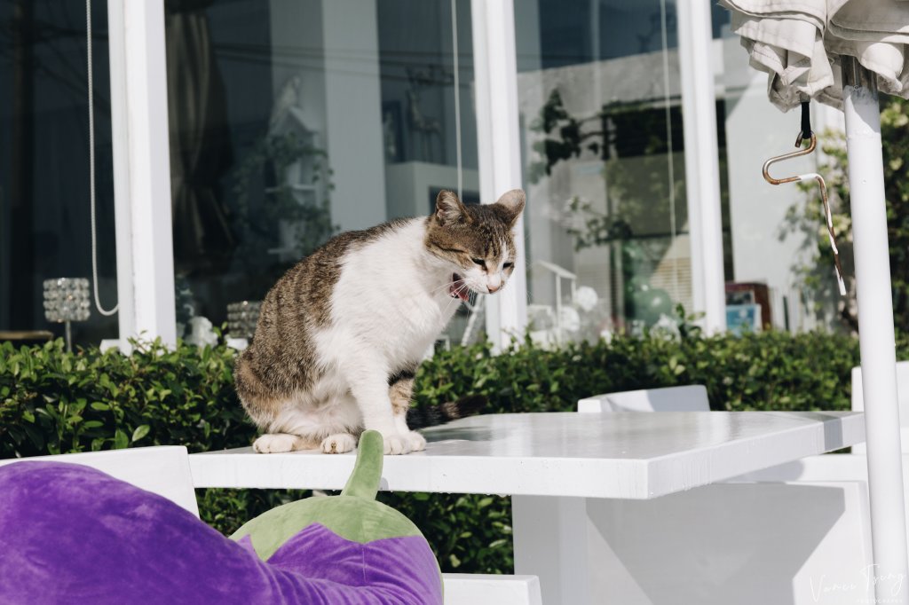 【黃金一稜O型】碧海藍天雷霆岩 九份山城_881948