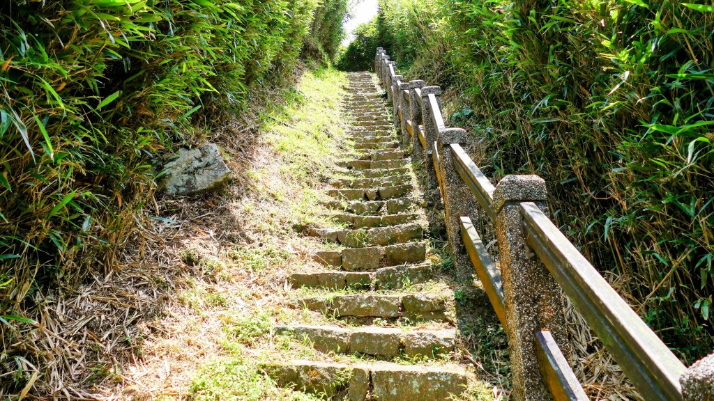 環七星山步道_2837942