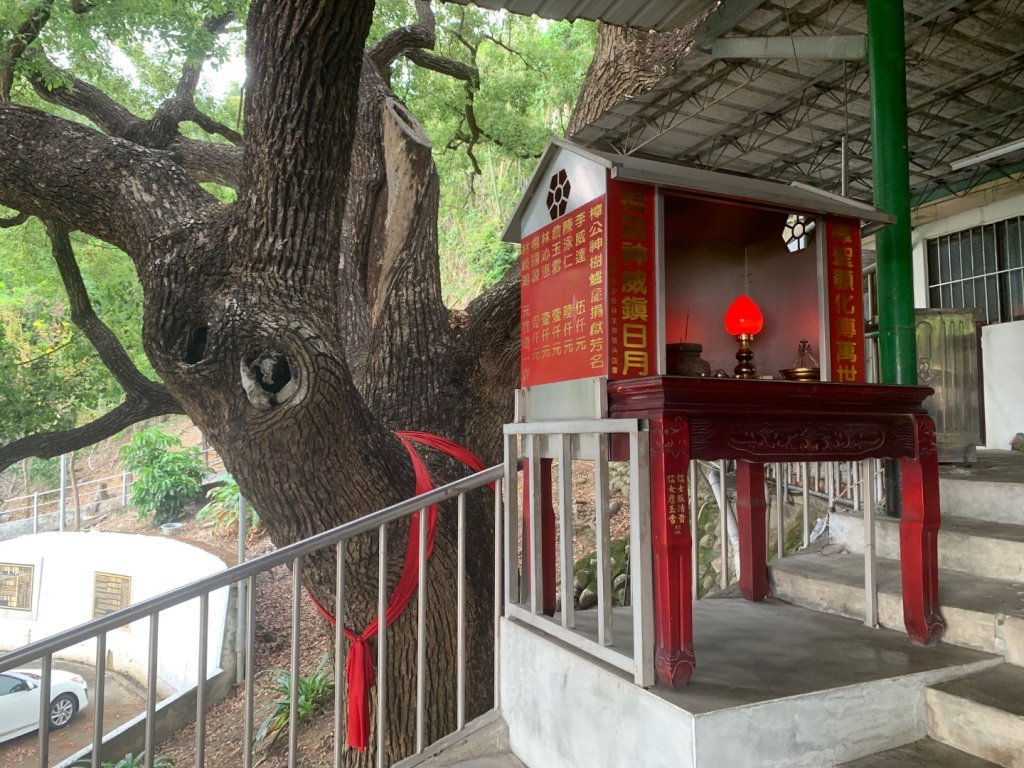 阿罩霧山、中心瓏步道_2768947