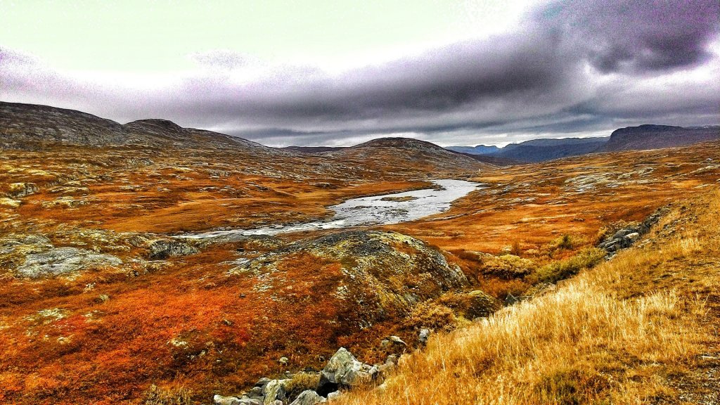 挪威，一次無悔的童年！_592142