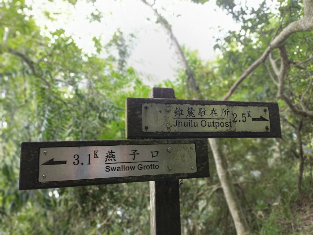 錐麓古道 20220625_1744726