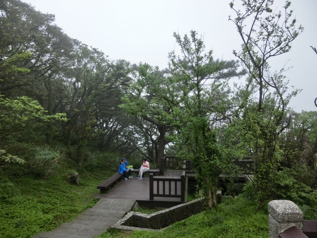 菜公坑山．大屯自然公園_93917