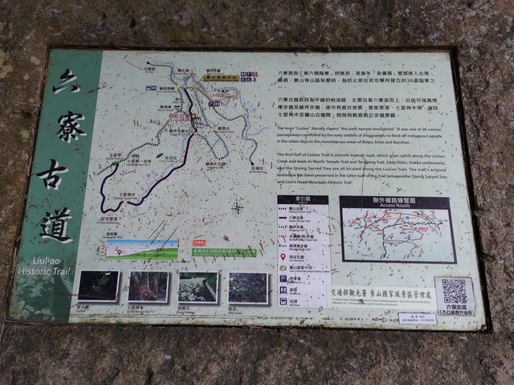 【新竹縣峨嵋鄉】藤坪步道_2833245