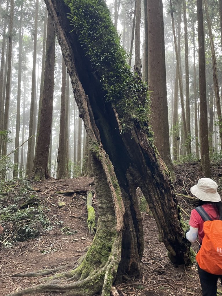 民都有山_2877339