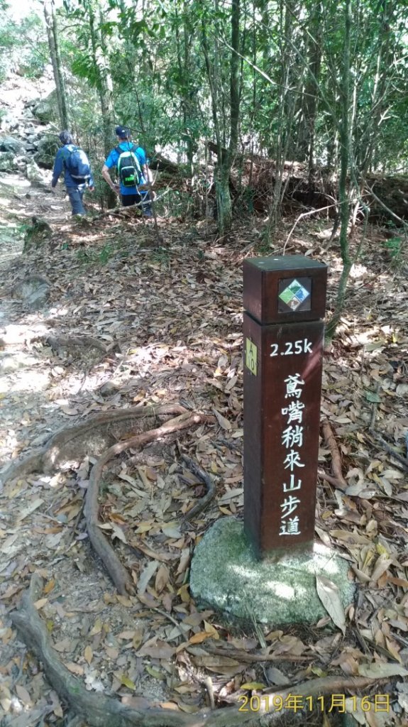 鳶嘴山>>稍來山大O連  攀岩_747760