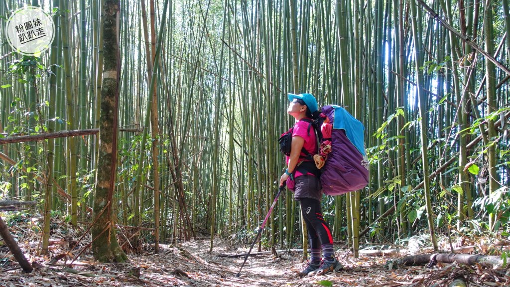 阿里山山脈越嶺步道大串走D5_543816