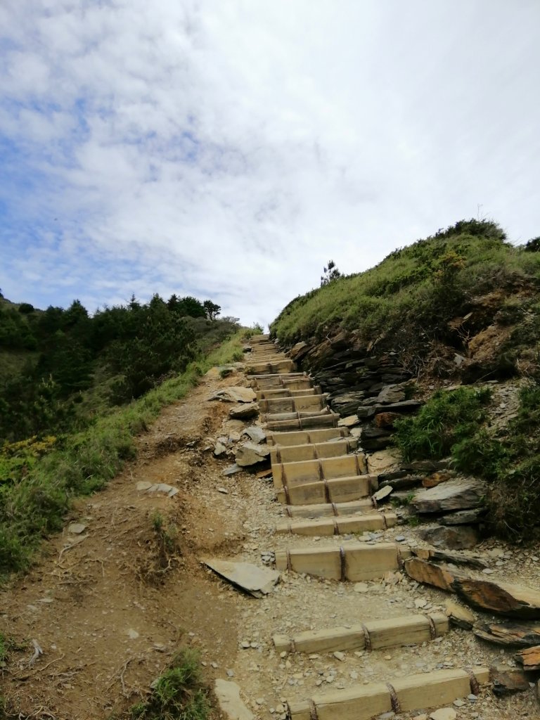 南投~仁愛~箭竹草原全視野~合歡北峰_1008191