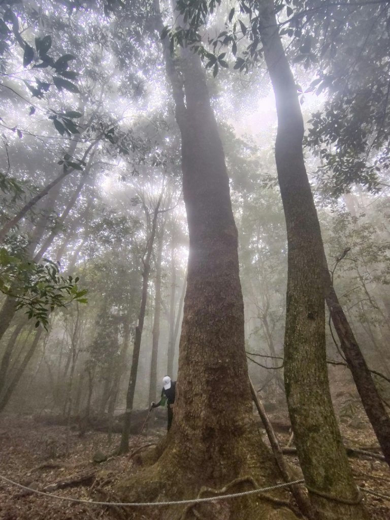 屋我尾山_2931479