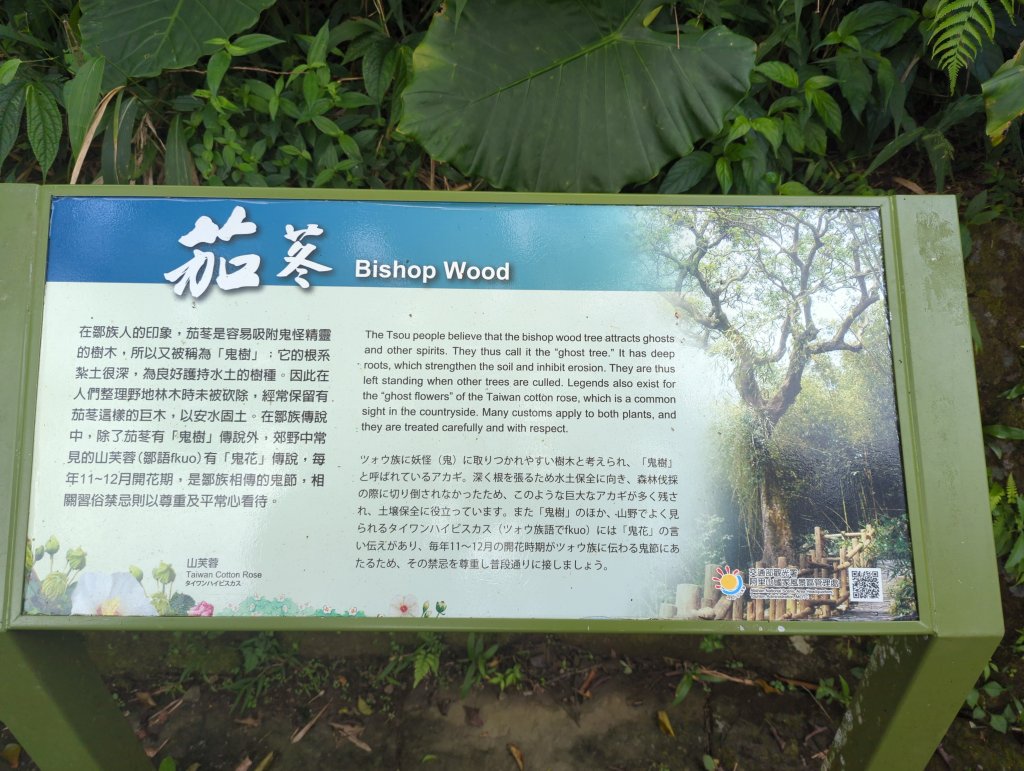 2024.10.12－會讓人迷糊的地方：迷糊步道_2627770