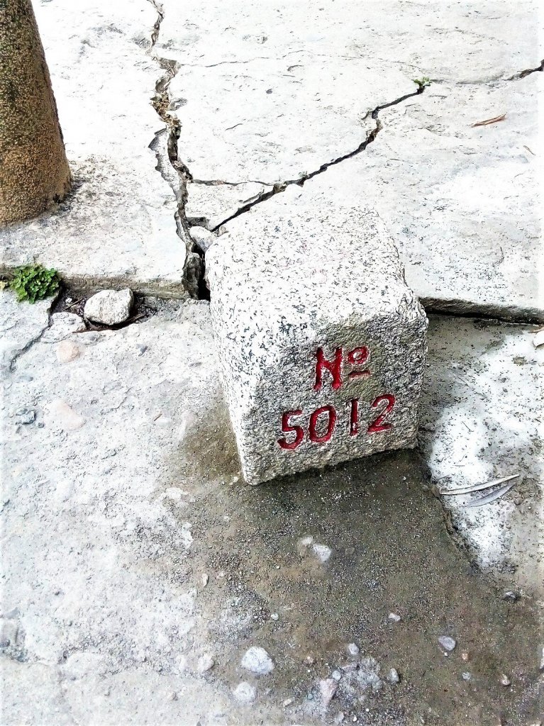 南觀音的寧靜_465176