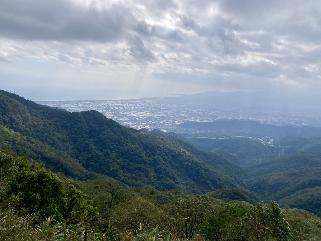 抹茶山_2681636