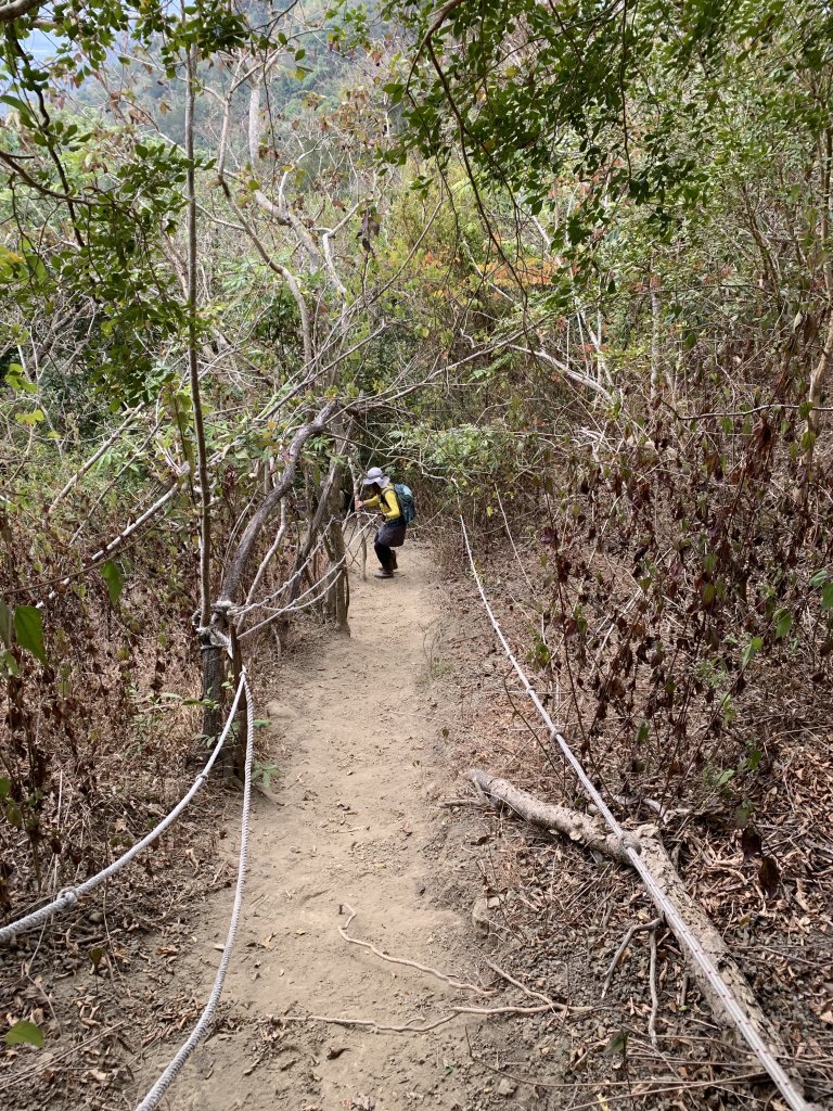 20260117台南阿拉溪斜瀑群縱走糖子恩山-水山頂山_2985205
