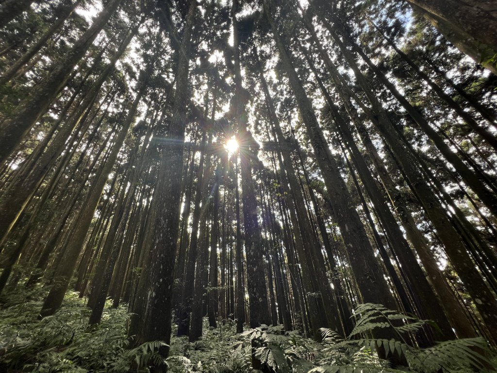 【鳥洗縱走】_1900400