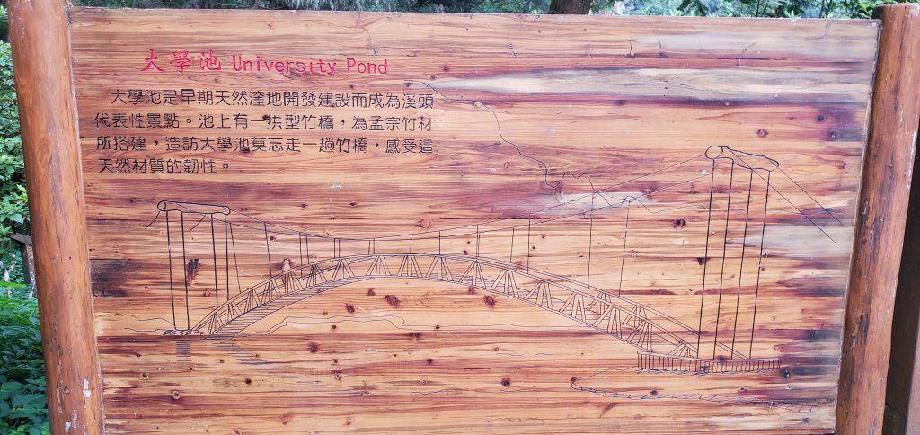 2024-05-19溪頭自然教育園區_2507980