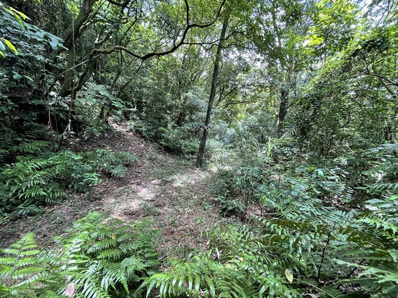 蛇子形古道_2511190