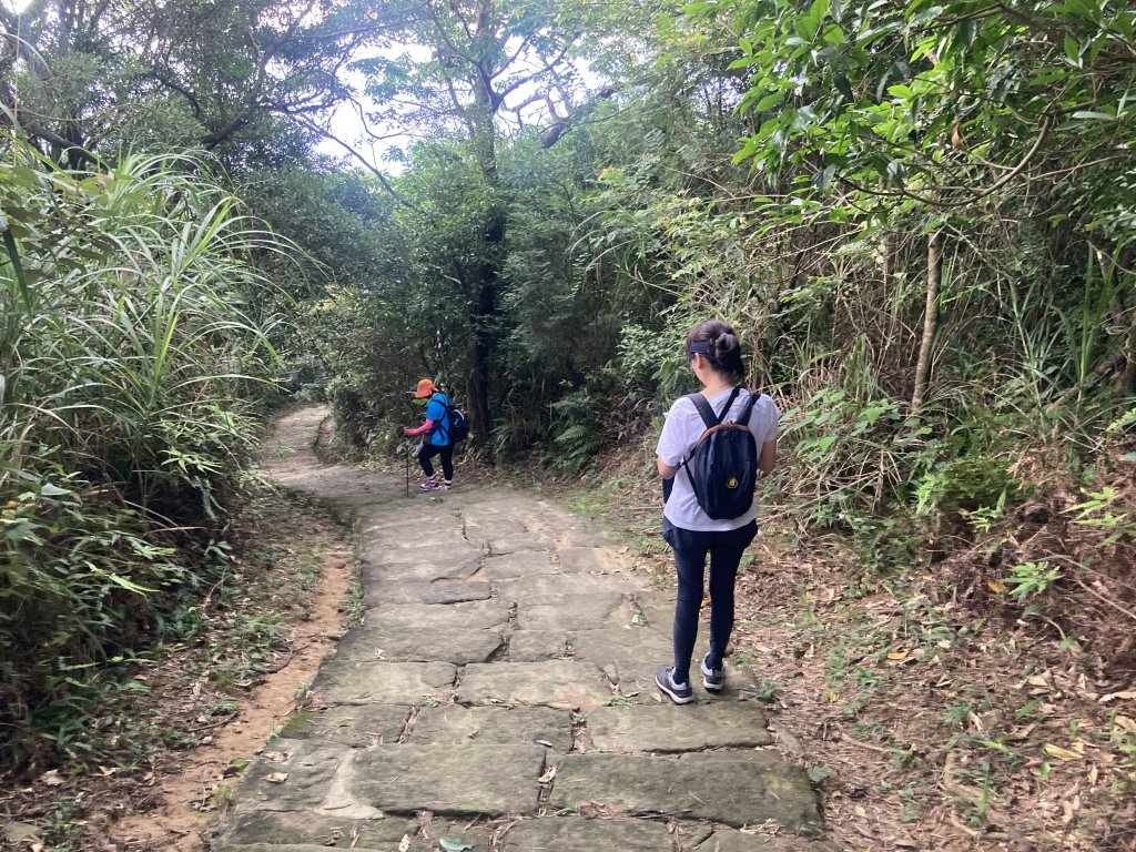 大崙頭山_2532685