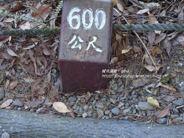 【台中。和平】 森呼吸。捎來步道_880458