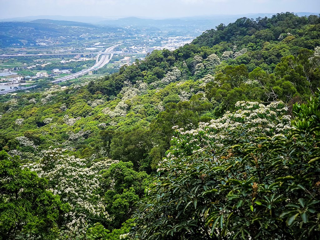 2025-04-27 三員縱走_2772088