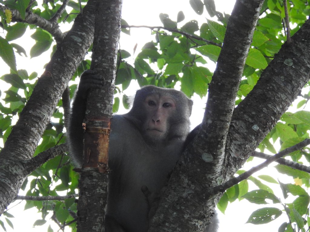 20220828佐倉、撒固兒_1823126